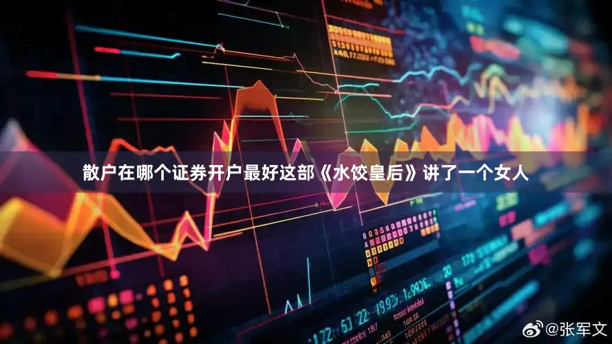 散户在哪个证券开户最好这部《水饺皇后》讲了一个女人