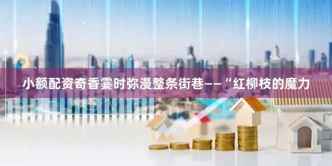 小额配资奇香霎时弥漫整条街巷——“红柳枝的魔力